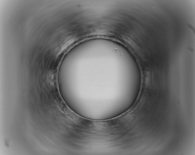 X0000102271258200808011419