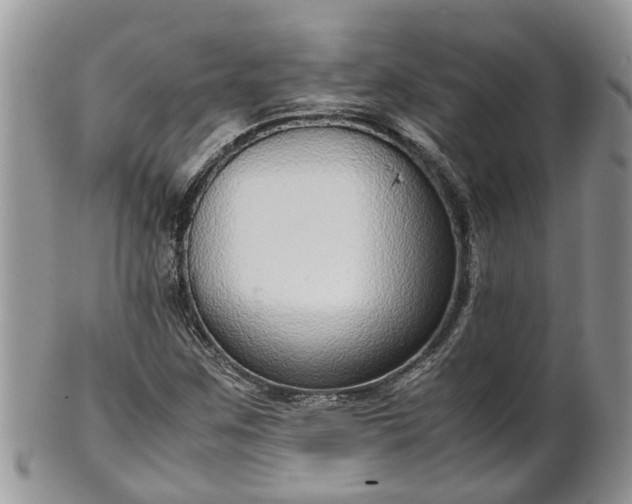 X0000102271259200808011419
