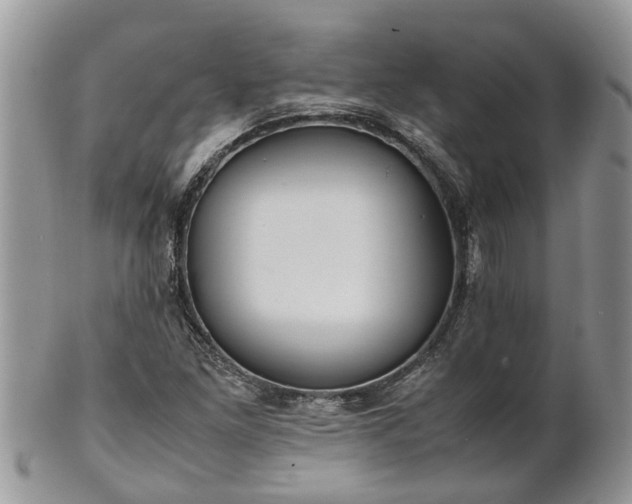 X0000102271261200808011419