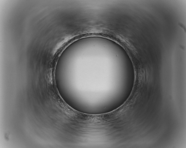 X0000102271262200808011419
