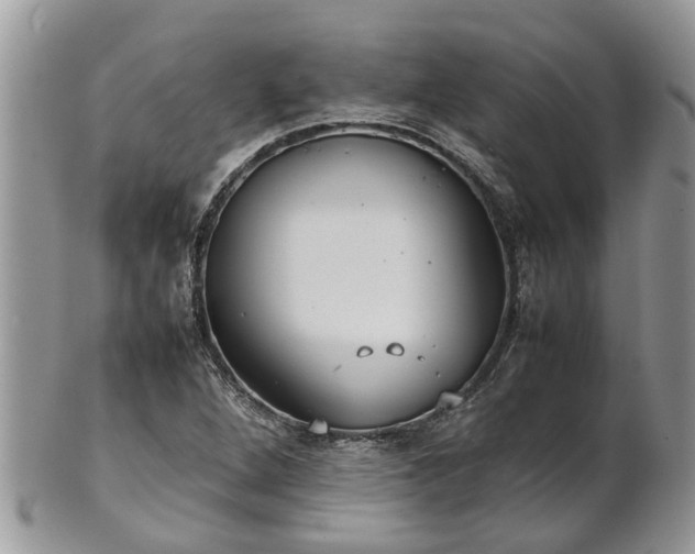 X0000102271264200808011419