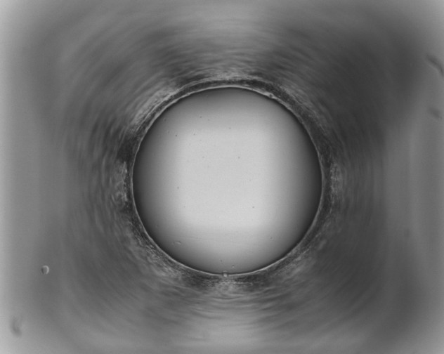 X0000102271265200808011419