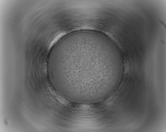 X0000102271266200808011419