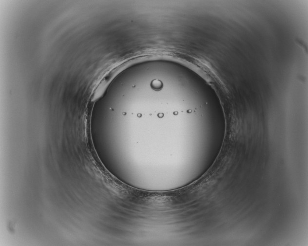 X0000102271268200808011419
