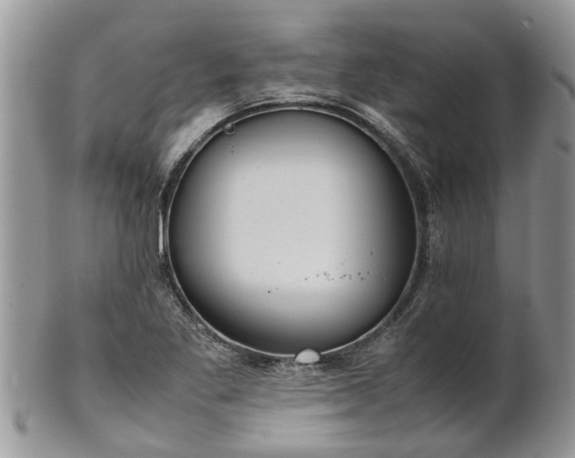 X0000102271269200808011419
