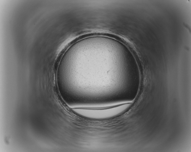 X0000102271271200808011419