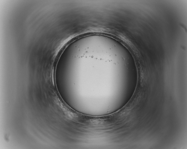 X0000102271272200808011419