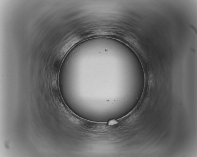 X0000102271273200808011419