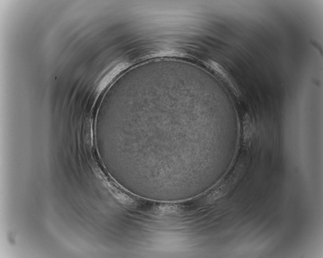 X0000102271274200808011419