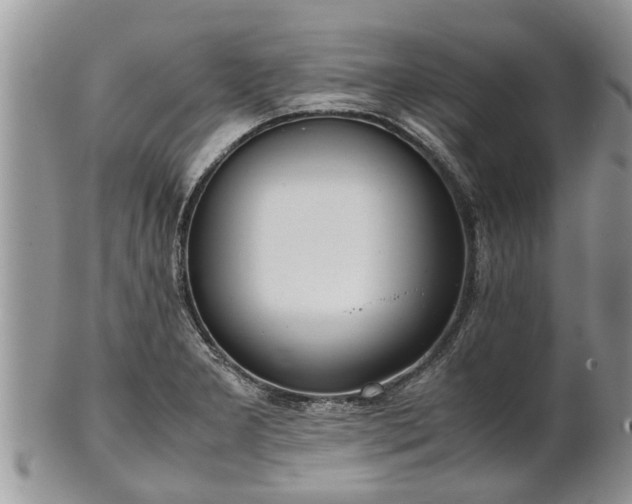 X0000102271277200808011419