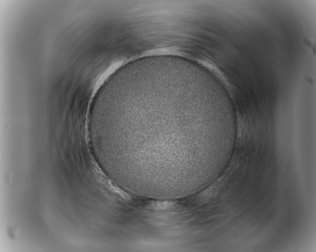 X0000102271278200808011419