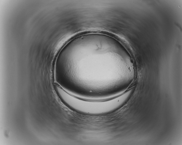 X0000102271279200808011419