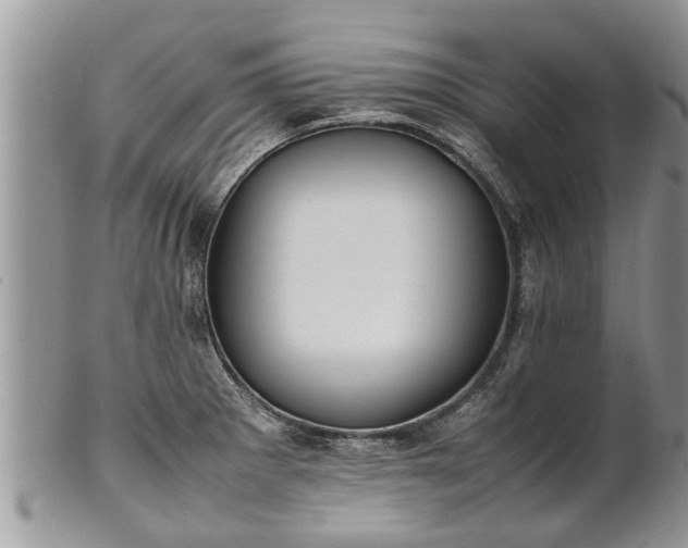 X0000102271281200808011419