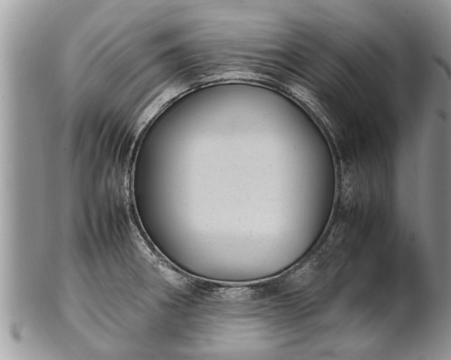 X0000102271282200808011419