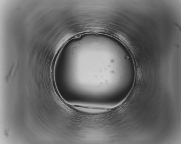 X0000102271283200808011419