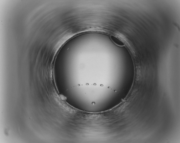 X0000102271284200808011419