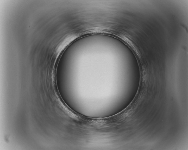 X0000102271285200808011419