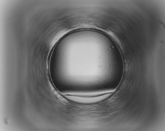 X0000102271287200808011419
