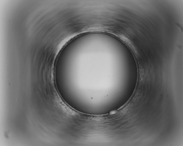 X0000102271288200808011419