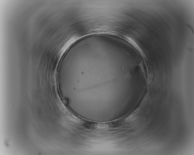 X0000102271291200808011419