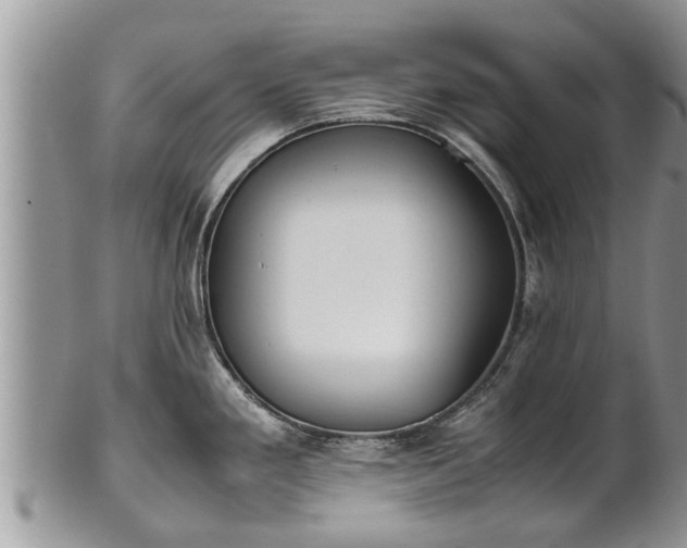 X0000102271293200808011419