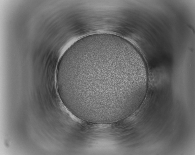 X0000102271294200808011419