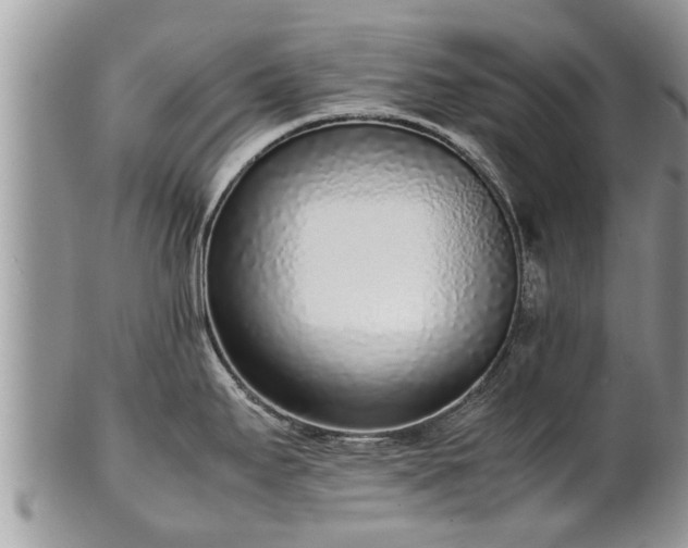X0000102271295200808011419