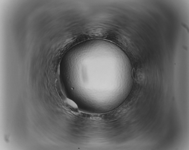 X0000102271297200808011418
