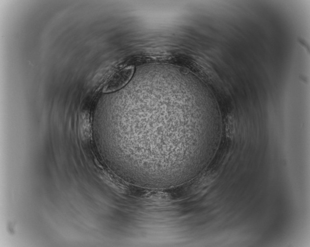 X0000102271298200808011418