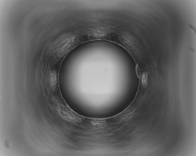 X0000102271299200808011418