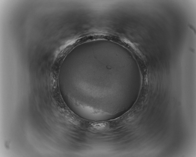 X0000102271303200808011418