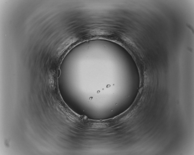 X0000102271305200808011418