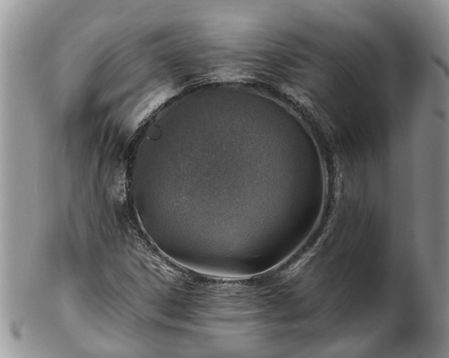 X0000102271306200808011418