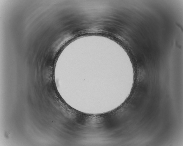 X0000102271314200808011418