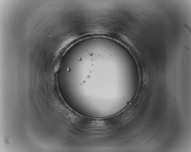 X0000102271315200808011418
