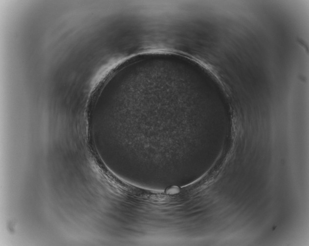 X0000102271319200808011419