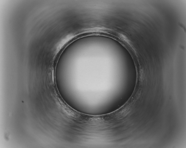 X0000102271320200808011419