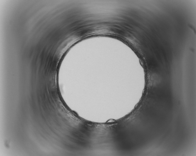 X0000102271322200808011419
