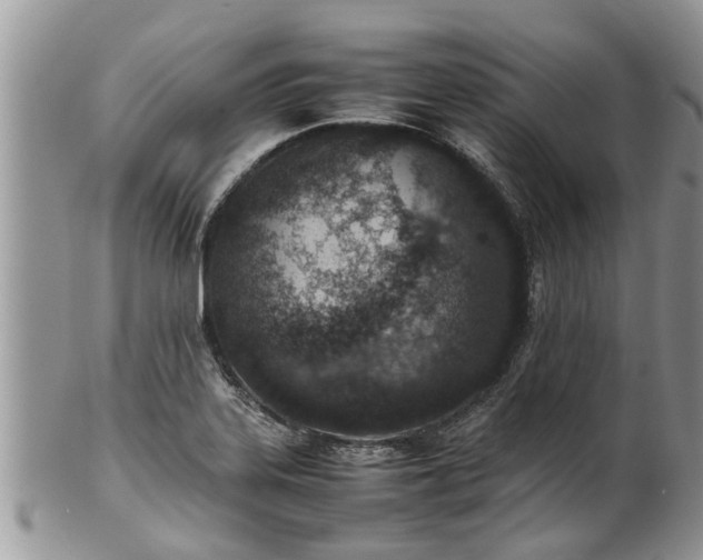 X0000102271323200808011419