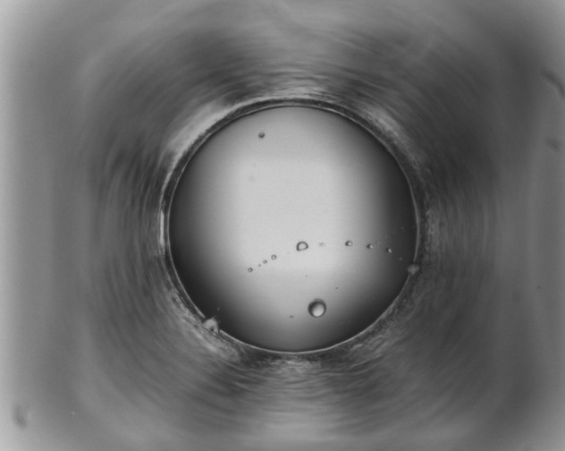 X0000102271324200808011419