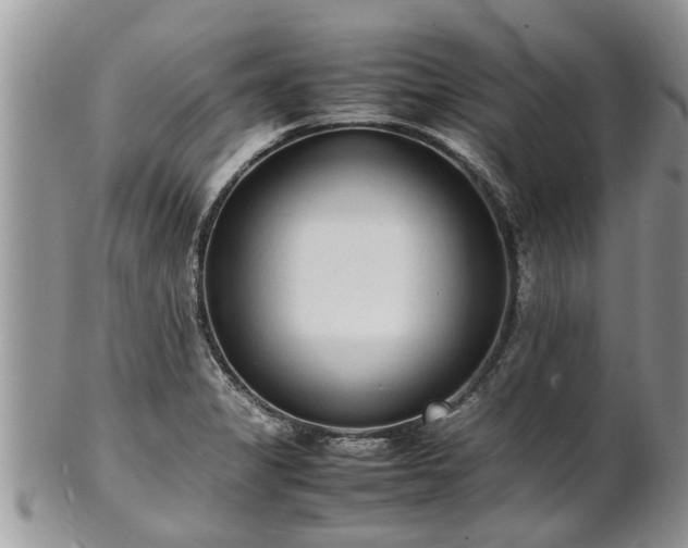 X0000102271325200808011419
