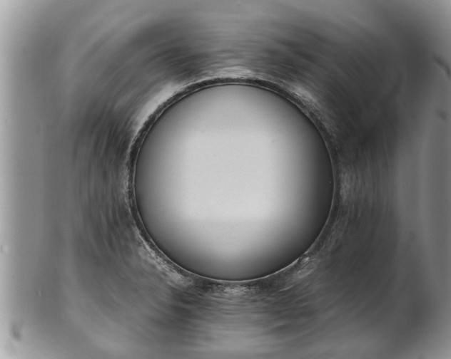 X0000102271326200808011419