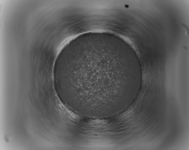 X0000102271327200808011419