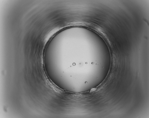 X0000102271328200808011419