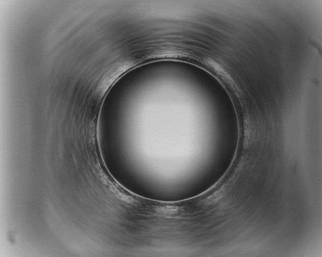X0000102271329200808011419
