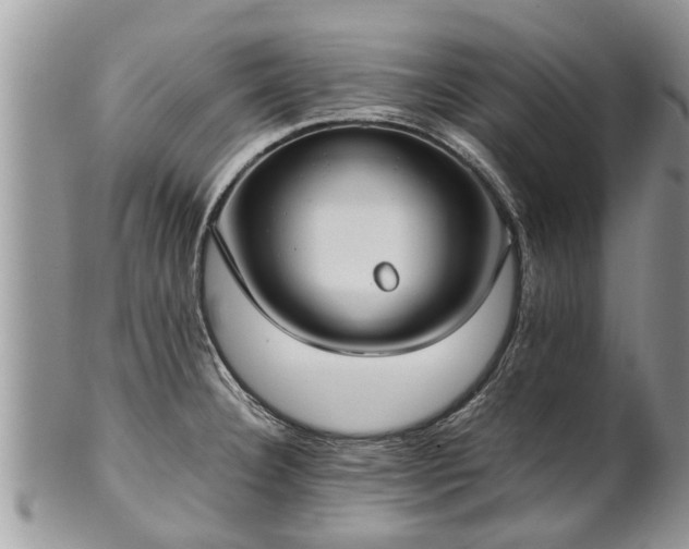 X0000102271332200808011419
