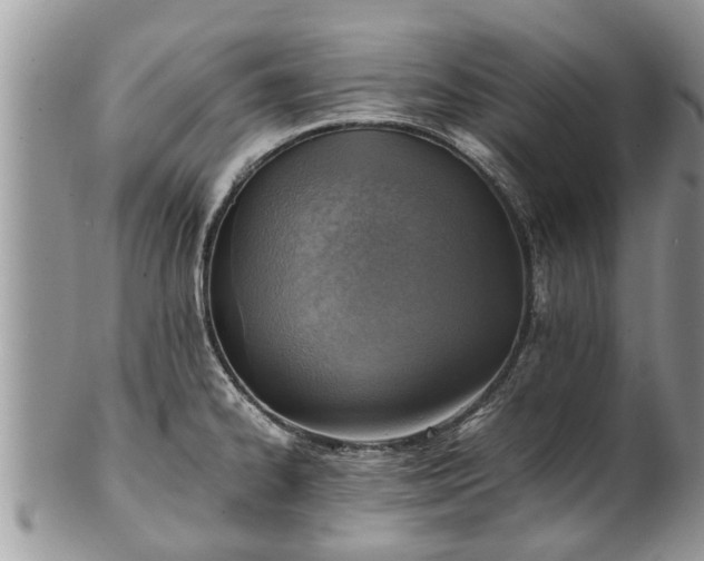 X0000102271334200808011419