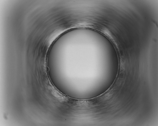 X0000102271336200808011419