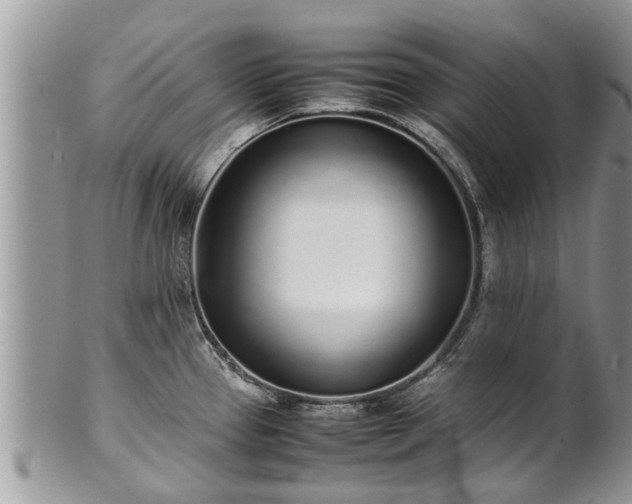 X0000102271337200808011419
