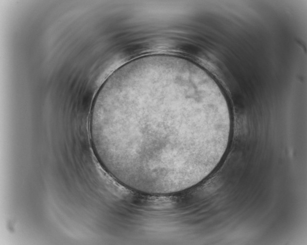X0000102271338200808011419